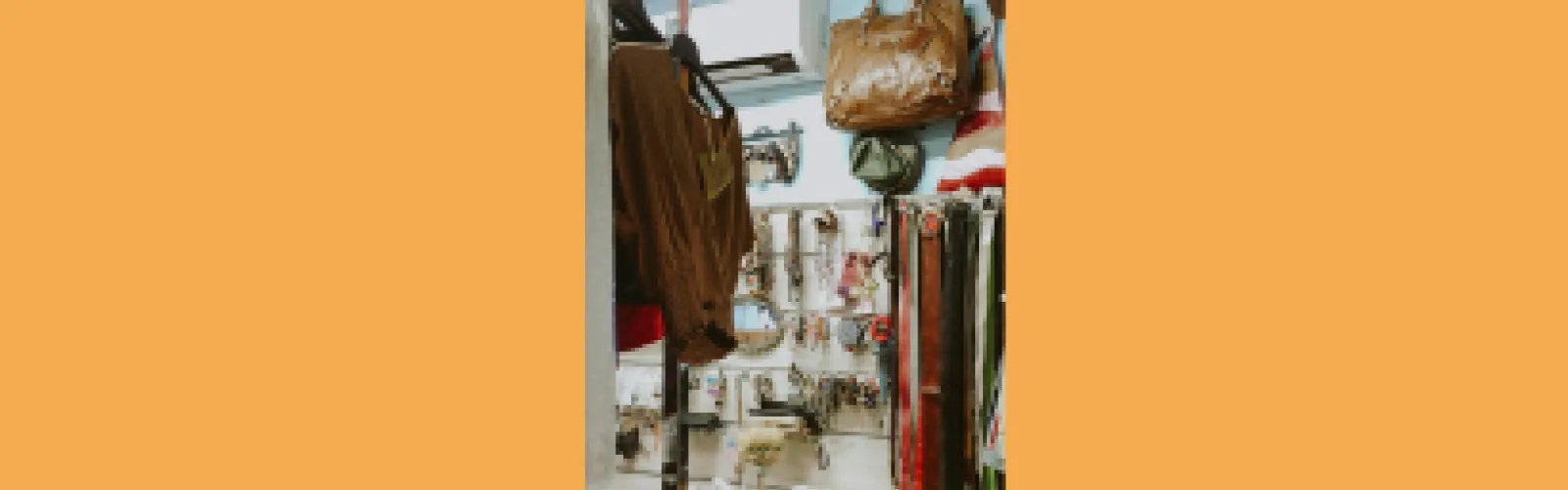 Thrift store items on display