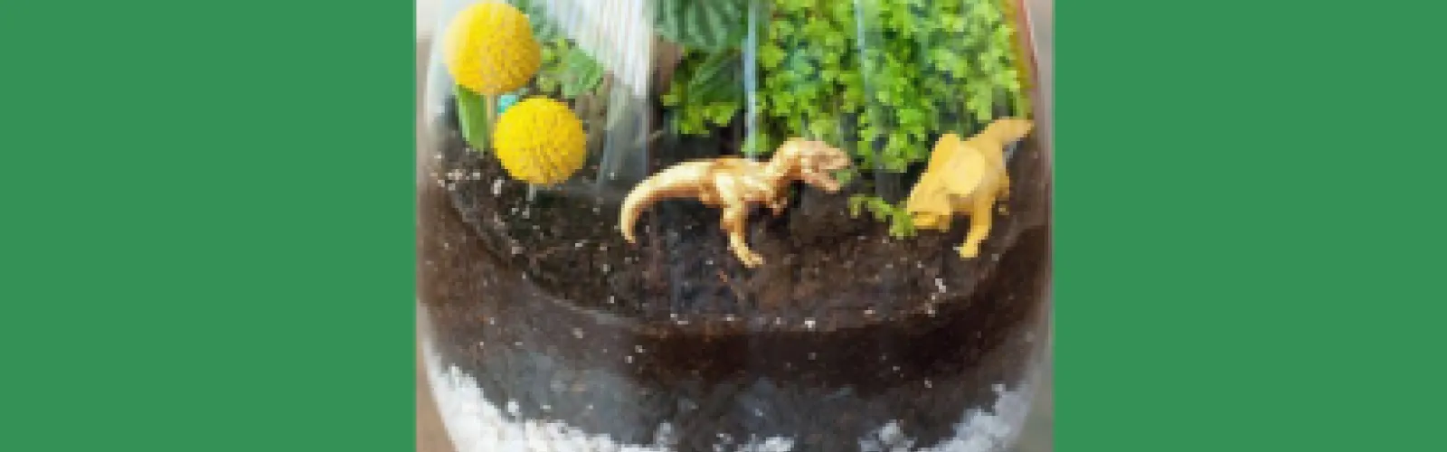 Close up image of a dinosaur terrarium