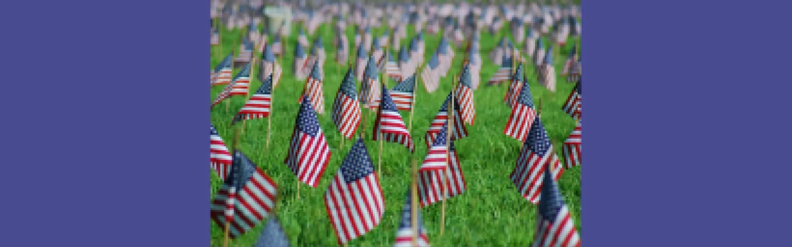 American flags in a field of grass with a blue background